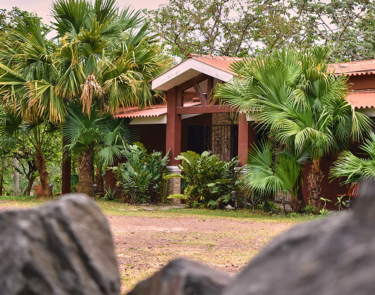 Edificio de la Fundación rodeado de vegetación